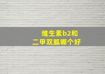 维生素b2和二甲双胍哪个好