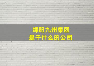 绵阳九州集团是干什么的公司