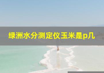 绿洲水分测定仪玉米是p几