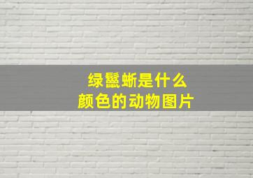 绿鬣蜥是什么颜色的动物图片