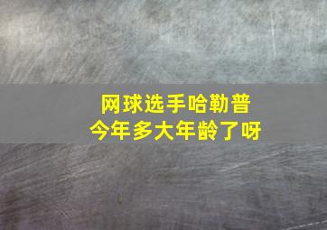 网球选手哈勒普今年多大年龄了呀