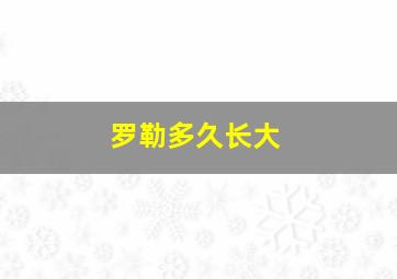 罗勒多久长大