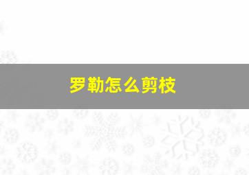 罗勒怎么剪枝