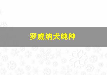 罗威纳犬纯种