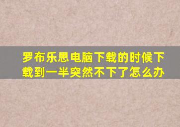 罗布乐思电脑下载的时候下载到一半突然不下了怎么办