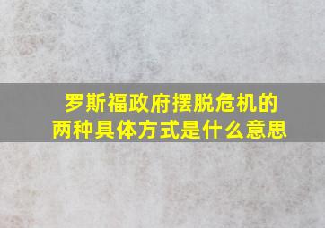 罗斯福政府摆脱危机的两种具体方式是什么意思