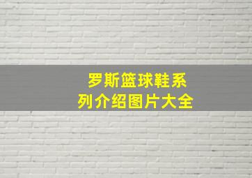 罗斯篮球鞋系列介绍图片大全