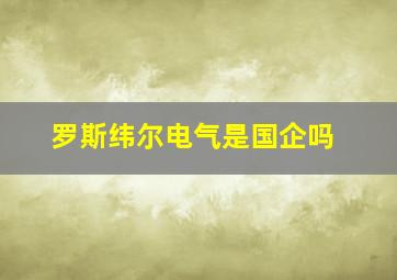 罗斯纬尔电气是国企吗