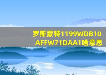 罗斯蒙特1199WDB10AFFW71DAA1啥意思