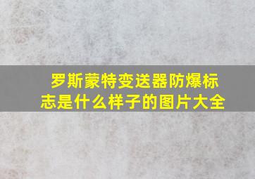 罗斯蒙特变送器防爆标志是什么样子的图片大全