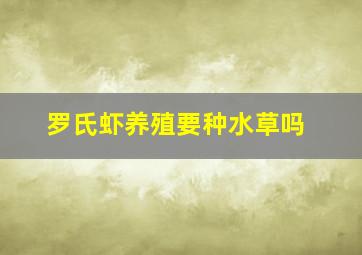 罗氏虾养殖要种水草吗