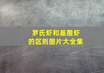 罗氏虾和基围虾的区别图片大全集