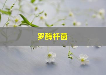 罗酶杆菌