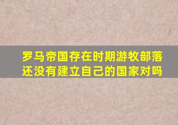 罗马帝国存在时期游牧部落还没有建立自己的国家对吗