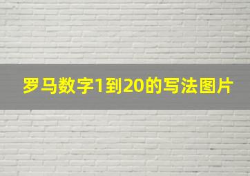 罗马数字1到20的写法图片