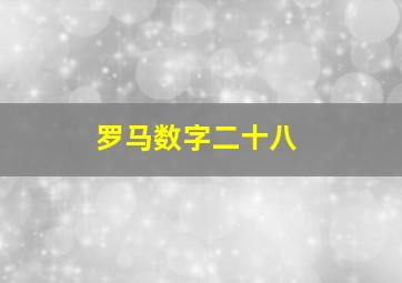 罗马数字二十八