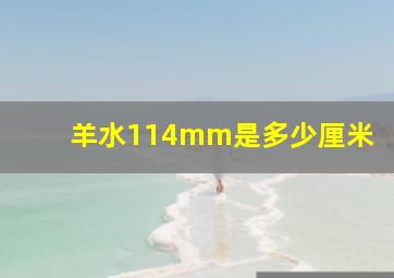 羊水114mm是多少厘米