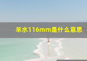 羊水116mm是什么意思