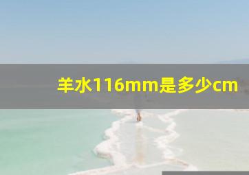 羊水116mm是多少cm