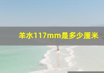 羊水117mm是多少厘米