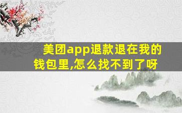 美团app退款退在我的钱包里,怎么找不到了呀