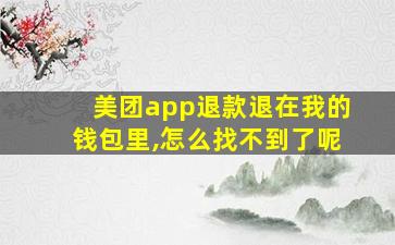 美团app退款退在我的钱包里,怎么找不到了呢