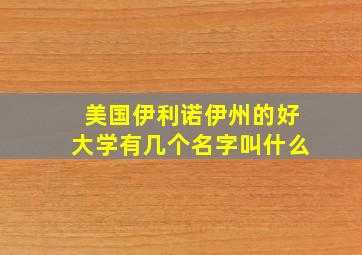 美国伊利诺伊州的好大学有几个名字叫什么