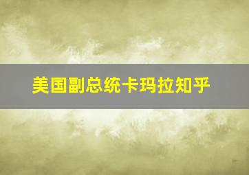 美国副总统卡玛拉知乎