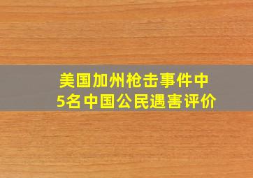 美国加州枪击事件中5名中国公民遇害评价