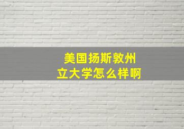 美国扬斯敦州立大学怎么样啊