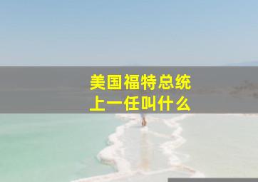 美国福特总统上一任叫什么