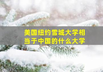 美国纽约雪城大学相当于中国的什么大学