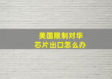 美国限制对华芯片出口怎么办