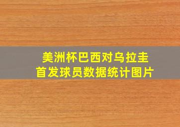 美洲杯巴西对乌拉圭首发球员数据统计图片