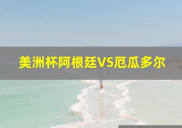 美洲杯阿根廷VS厄瓜多尔