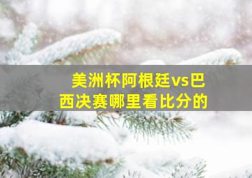 美洲杯阿根廷vs巴西决赛哪里看比分的