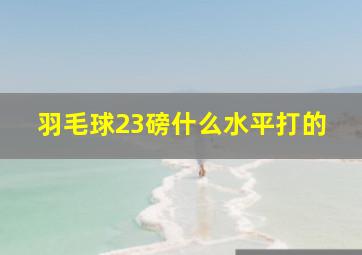 羽毛球23磅什么水平打的