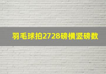 羽毛球拍2728磅横竖磅数