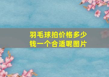 羽毛球拍价格多少钱一个合适呢图片