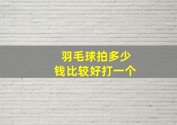 羽毛球拍多少钱比较好打一个