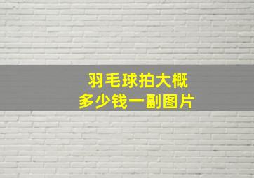 羽毛球拍大概多少钱一副图片