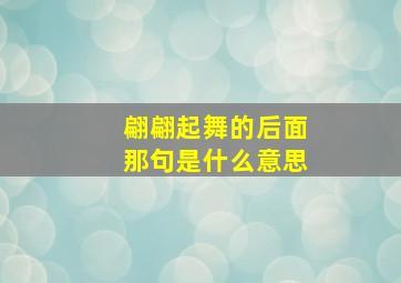 翩翩起舞的后面那句是什么意思