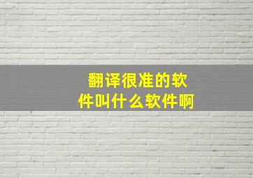 翻译很准的软件叫什么软件啊