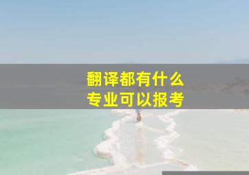 翻译都有什么专业可以报考