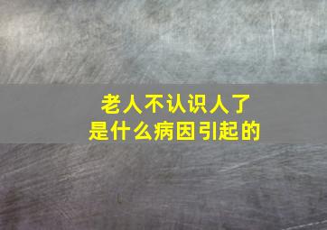 老人不认识人了是什么病因引起的