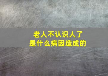 老人不认识人了是什么病因造成的