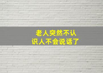 老人突然不认识人不会说话了