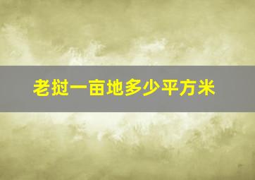 老挝一亩地多少平方米