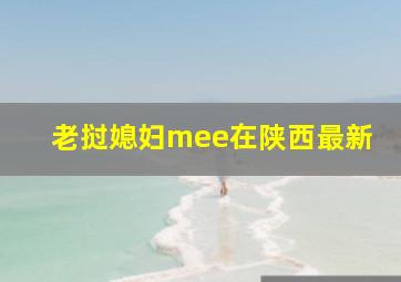 老挝媳妇mee在陕西最新