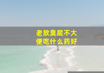 老放臭屁不大便吃什么药好